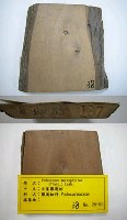 大葉羅漢松藏品圖，第1張